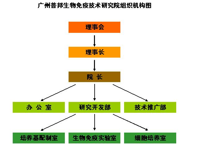 广州普邦生物免疫技术研究院组织机构图